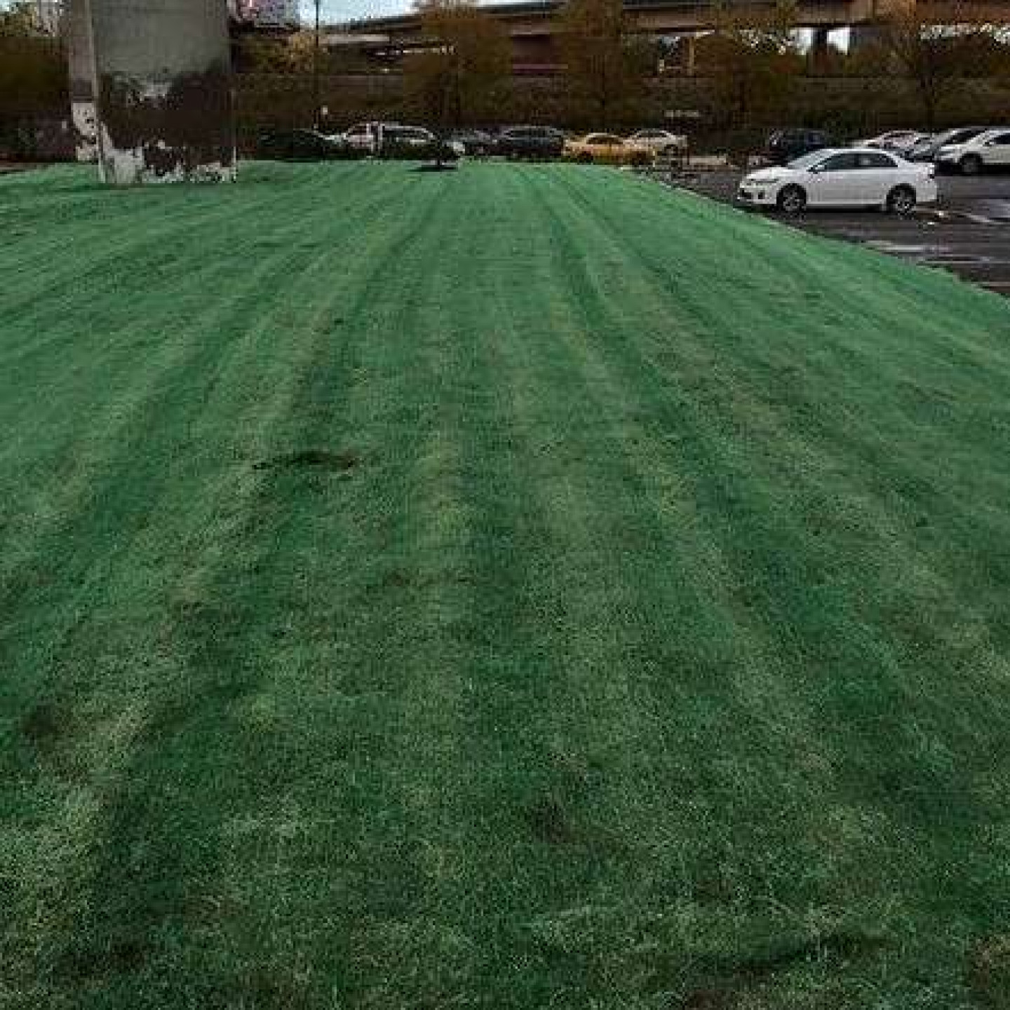 Lawn Mowing Service, Lawn Aeration Waukegan & Highland Park, IL Tony's Landscaping & Snow